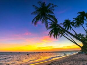 Tour du lịch Mũi Né - Vũng Tàu