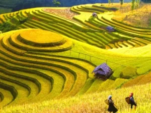 TOUR DU LỊCH CHẤT LƯỢNG 2023 HÀ NỘI - ĐIỆN BIÊN - HÀ NỘI