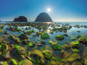 HÀ NỘI - NHA TRANG – PHÚ YÊN – QUY  NHƠN – HÀ NỘI