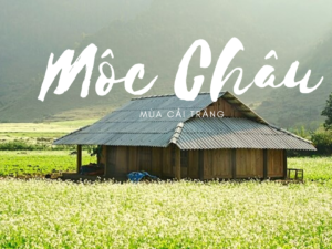 HÀ NỘI - MỘC CHÂU - HÀ NỘI