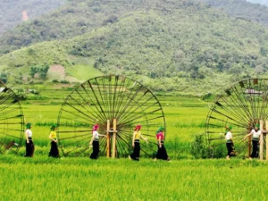 HÀ NỘI – MỘC CHÂU – SƠN LA – ĐIỆN BIÊN – HÀ NỘI